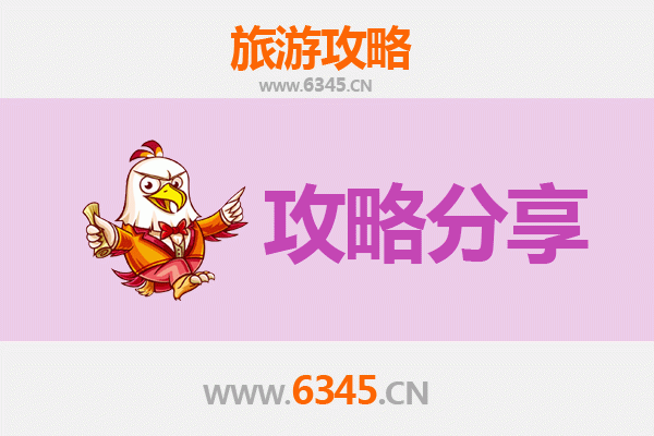 随州随县出发湄洲岛旅游攻略：跟团VS自由行全解析